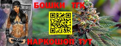 тгк Будённовск